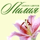 Лилия - салон цветов