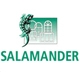 Salamander, окна