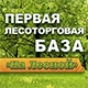 Первая лесоторговая база &quot;На Лесной&quot;